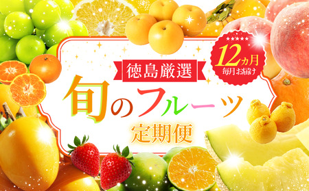 t[c  12 ʕ G { lߍ Y ܂ Yn VC}XJbg  ݂ fR|     ` ` 