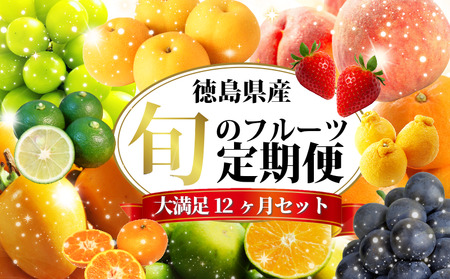 フルーツ 定期便 12ヶ月 果物 季節 旬 詰め合せ