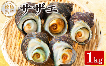 天然サザエ 1kg [ サザエ ]