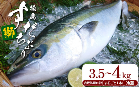 �Ԃ� ���E���h �������Ԃ� �ۂ���1�{ ��3.5kg~4kg �① ���� �{�B