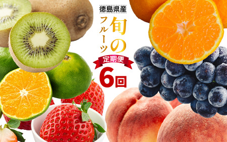 フルーツ 定期便 6ヶ月 フルーツ