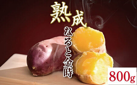 さつまいも 800g SSサイズ なると金時 さつまいも