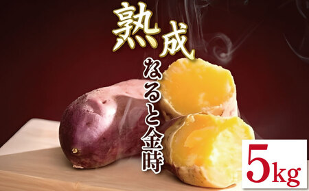 �Ȃ�Ƌ��� 5kg L�T�C�Y ���܂��� �Ȃ�Ƌ���