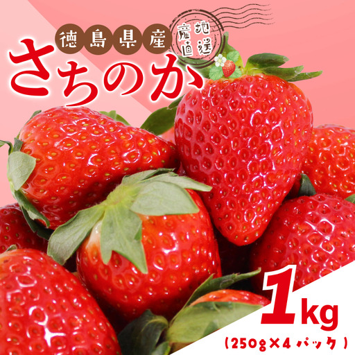 いちご 1kg さちのか 苺