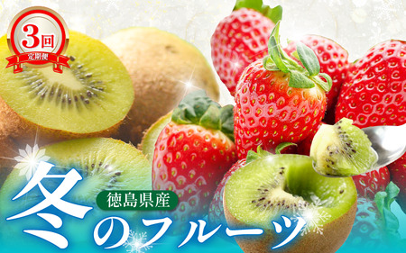 フルーツ 定期便 全3回 フルーツ定期便