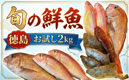 鮮魚 お試し 約2kg 徳島県産 鮮魚