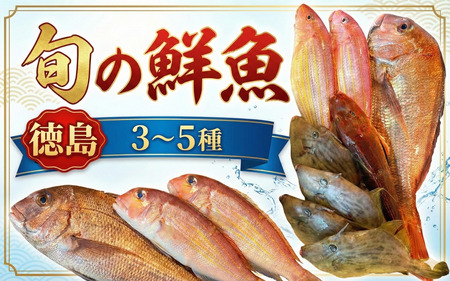 鮮魚 お試し 3〜5種 徳島県産 鮮魚