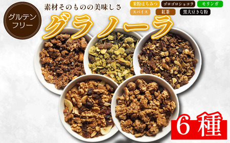 グラノーラ 6種 詰め合わせ グラノーラ