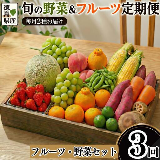フルーツ 野菜 定期便 3回 定期
