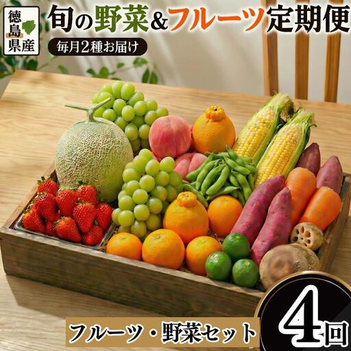 フルーツ 野菜 定期便 4回 定期