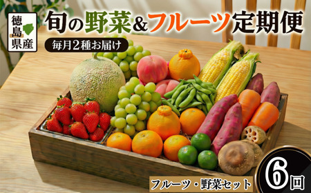 フルーツ 野菜 定期便 6回 定期