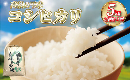 コシヒカリ 定期便3回×5kg 高嶺の雫米 コシヒカリ
