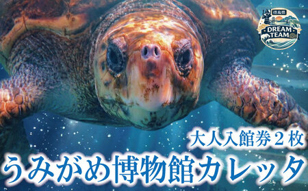 日和佐うみがめ博物館カレッタ 入館券 大人2名分 ドリームチーム