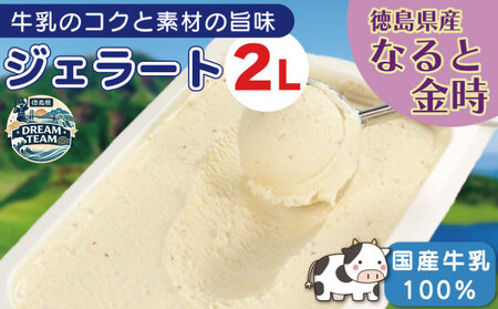 ジェラート 業務用 2L なると金時 ドリームチーム