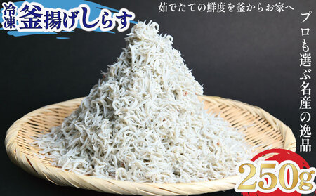 釜揚げ しらす 250g 冷凍 鮮度 産地直送 しらす丼 海鮮 海鮮丼 魚介 魚