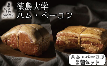 徳島大学 熟成ロースハム ベーコン セット 500g ハム