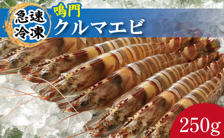 車海老 250g 約7尾〜10尾 クルマエビ