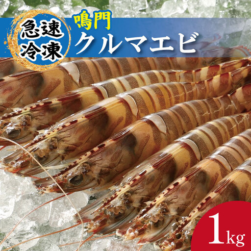 車海老 1kg 約28尾～36尾 クルマエビ