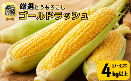 [6月下旬から7月下旬まで発送]とうもろこし ゴールドラッシュ 4kg以上