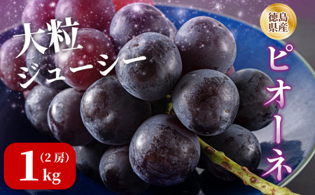 [7月上旬から8月中旬まで発送]ピオーネ 2房 1kg ぶどう 国産