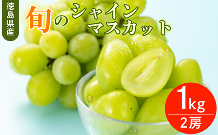 [6月中旬〜8月中旬まで順次発送]シャインマスカット 1kg 2房 国産