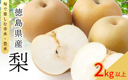 [8月上旬から9月上旬まで発送]梨 2kg以上 豊水 幸水 国産