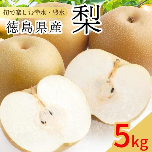 【8月上旬から9月上旬まで発送】 梨 5kg 豊水 幸水 国産