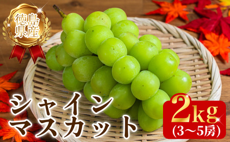 [8月末〜9月上旬まで発送]シャインマスカット 2kg 3〜5房 マスカット