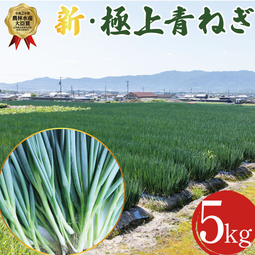 【12月~3月・7月のみ発送】 青ねぎ 5kg ネギ 葱 極上 薬味 国産