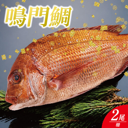 鳴門鯛 2kg 柵 2尾分 鳴門鯛