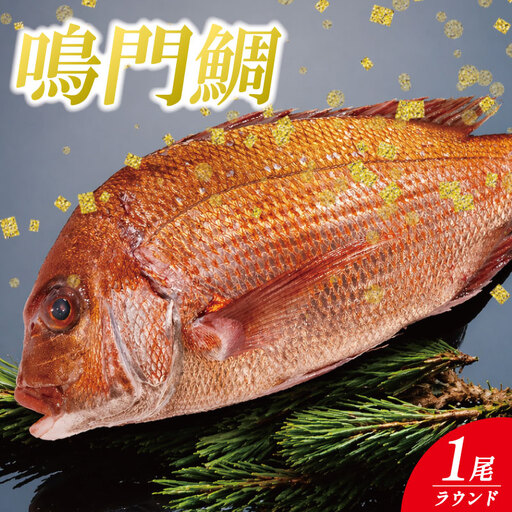 鳴門鯛 1kg ラウンド 1尾 鳴門鯛