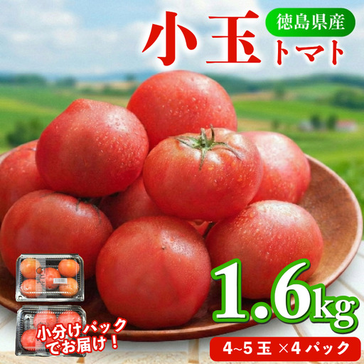 トマト 4パック 1.6kg 小玉トマト