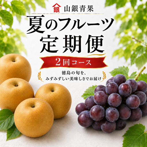 フルーツ 定期便 2回 コースA 果物