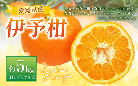 伊予柑 3L〜Lサイズ (約5kg) みかん 蜜柑 柑橘 果物 くだもの フルーツ (520) [2025年1月上旬〜2025年2月上旬発送予定]