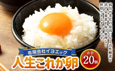 人生これか卵 20個 セット(内割れ保証2個) たまご 卵 玉子 タマゴ 国産 愛媛県産[えひめの町(超)推し!(内子町)] (479)