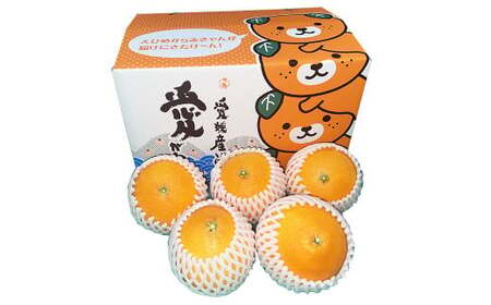 ����28�� �i���Q�ʎ���28���j 2kg �ʕ� �������� �t���[�c �~�J�� �݂��� ���񂫂� ���k ���Y �퉷 ���Q�� �y2026�N1����{�`1�����{�����\��z �i346�j