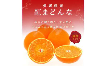 紅まどんな 4L〜L 約3kg みかん ミカン 蜜柑 温州 果物 くだもの フルーツ 柑橘 [2025年1月上旬-2月下旬発送予定](817)