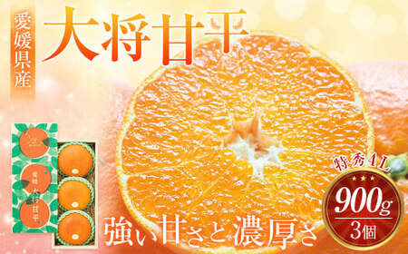 [先行予約] 愛媛県産 大将甘平 特秀4Lサイズ900g(3個) かんぺい みかん 果物 フルーツ [2026年2月上旬〜2月下旬発送予定](871)