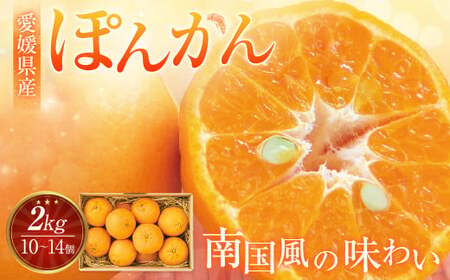 [先行予約] 愛媛県産 ぽんかん 2kg(10〜14個) ポンカン 果物 フルーツ [2026年1月下旬〜2月下旬](876)