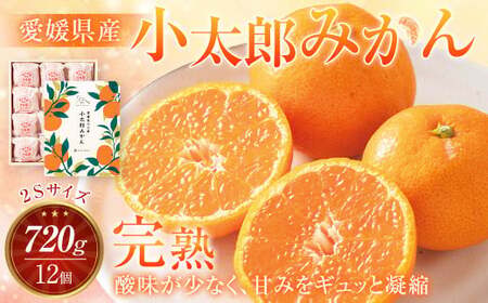[先行予約] 愛媛県産 小太郎みかん 2Sサイズ 720g(12個) みかん 果物 フルーツ [2026年1月上旬〜1月下旬発送予定](872)