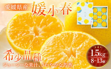 [先行予約] 愛媛県産 媛小春 1.5kg(8〜13個) 柑橘 果物 フルーツ [2026年1月下旬〜2月上旬発送予定](874)
