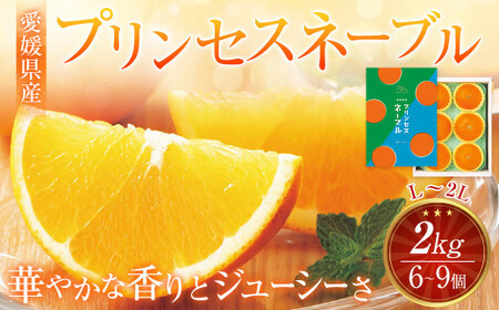 [先行予約] 愛媛県産 プリンセスネーブル L〜2Lサイズ 2kg(6〜9個) ネーブルオレンジ 果物 フルーツ [2026年3月上旬〜3月下旬発送予定](875)