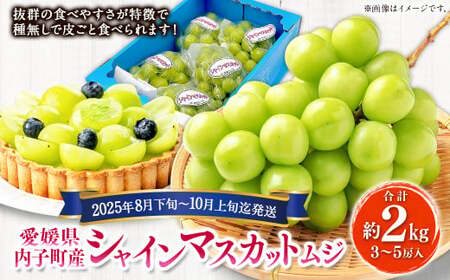 内子町産 シャインマスカット ムジ 3〜5房入 約2kg [2025年8月下旬〜10月上旬迄発送] [えひめの町(超)推し!(内子町)](444)