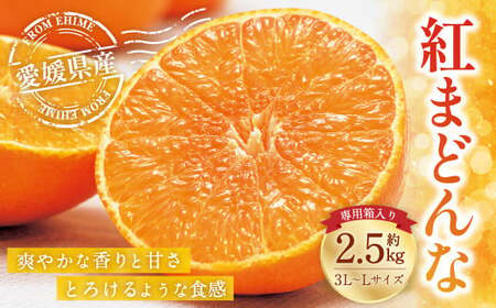 愛媛の旬の柑橘 紅まどんな(専用箱)約2.5kg 3L〜Lサイズ 10〜15個(青秀以上) 紅まどんな 紅マドンナ まどんな マドンナ みかん ミカン 蜜柑 柑橘類 果物 くだもの フルーツ 柑橘 かんきつ 愛媛果試第28号 常温 国産 愛媛県 先行予約 [12月頃発送] (14-1)