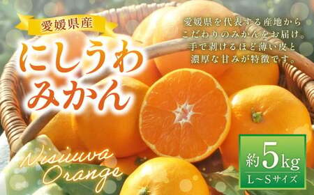 にしうわみかんL〜Sサイズ (約5kg) みかん 蜜柑 柑橘 果物 くだもの フルーツ[2025年11月下旬〜2025年12月下旬発送予定](518-1)