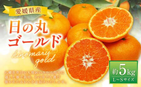 みかん (日の丸ゴールド) L〜Sサイズ (約5kg) みかん 蜜柑 柑橘 果物 くだもの フルーツ [2025年11月下旬〜2025年12月下旬発送予定](519)