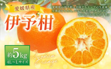 伊予柑4L〜Lサイズ (約5kg) みかん 蜜柑 柑橘 果物 くだもの フルーツ [2026年1月上旬〜2026年2月上旬発送予定](520)