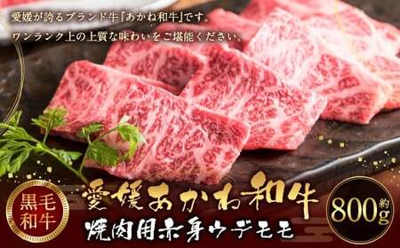 愛媛あかね和牛 焼肉用 赤身 ウデ モモ(約800g)国産 和牛 牛肉 バーベキュー 肉 お肉 [えひめの町(超)推し!(松前町)](746)