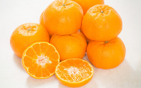 �y�󂠂�z �ۂ񂩂� 10kg ���k �󂠂� �݂��� ���� �~�J�� �t���[�c �ʕ� �������� ���Q�݂��� ���Q���Y �y2026�N1�����{-2����{�����\��z�y���Ђ߂̒��i���j�����I�i���쒬�j�z�i563�j