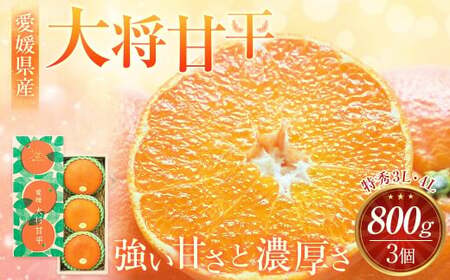 ys\z QY 叫Õ G3LE4LTCY800gi3j ؂ ݂ ʕ t[c y2026N2{`2{\zi871j